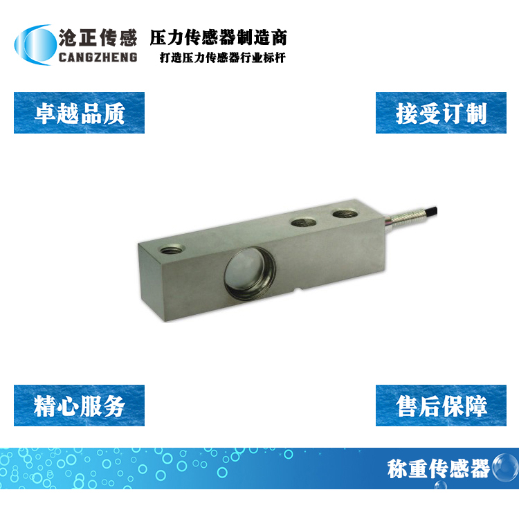 深圳滄正稱重傳感器CAZF-W130A